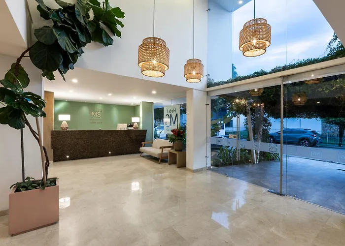  MS Ciudad Jardin